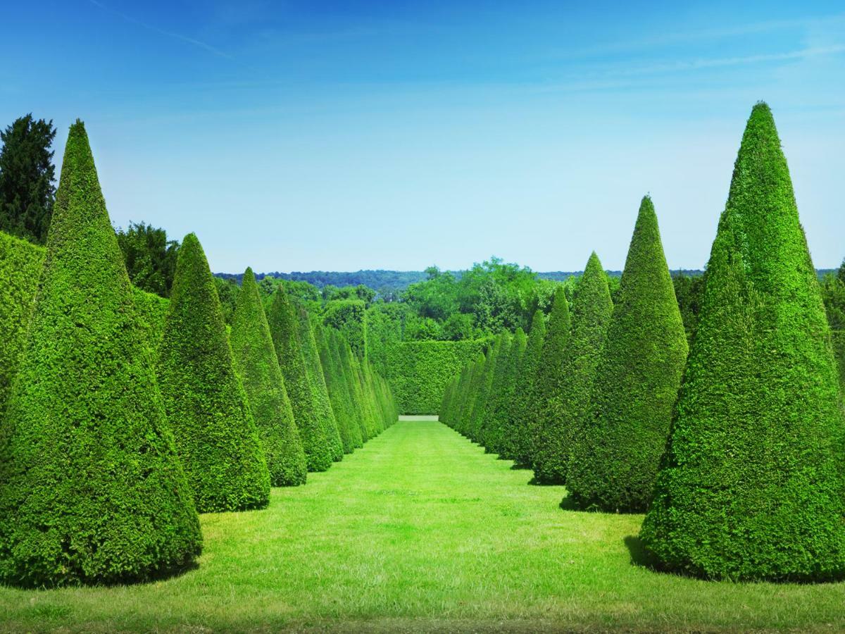 Les Petits Apparts Versailles Exterior foto